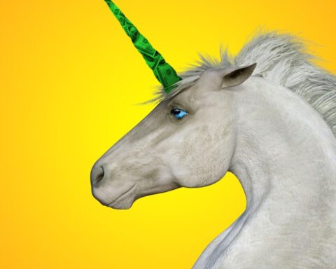 Unicorn Companies