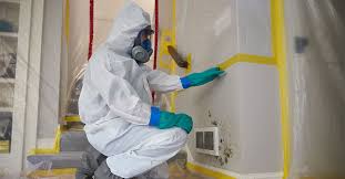 mold removal