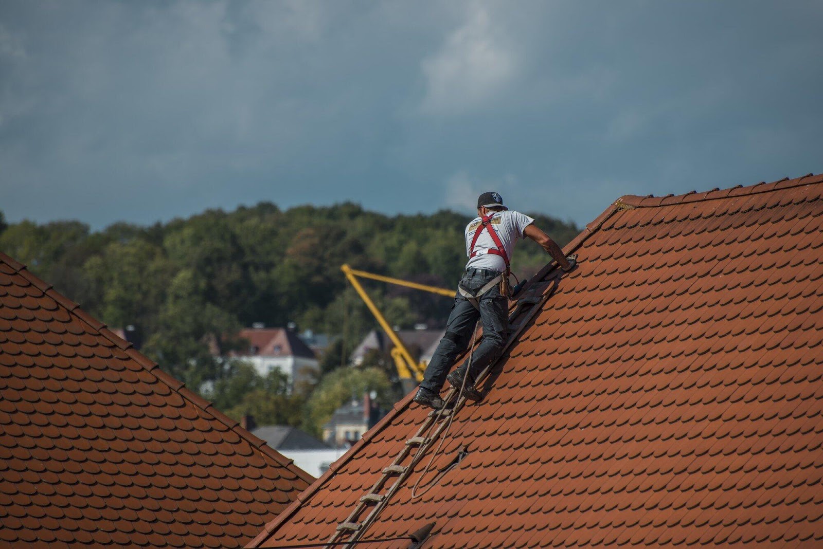 Roof Cleaning