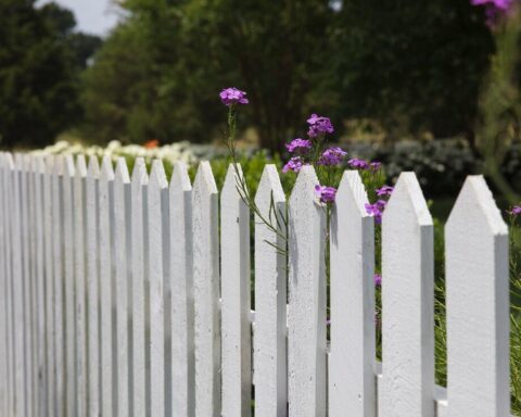 Vinyl Fence