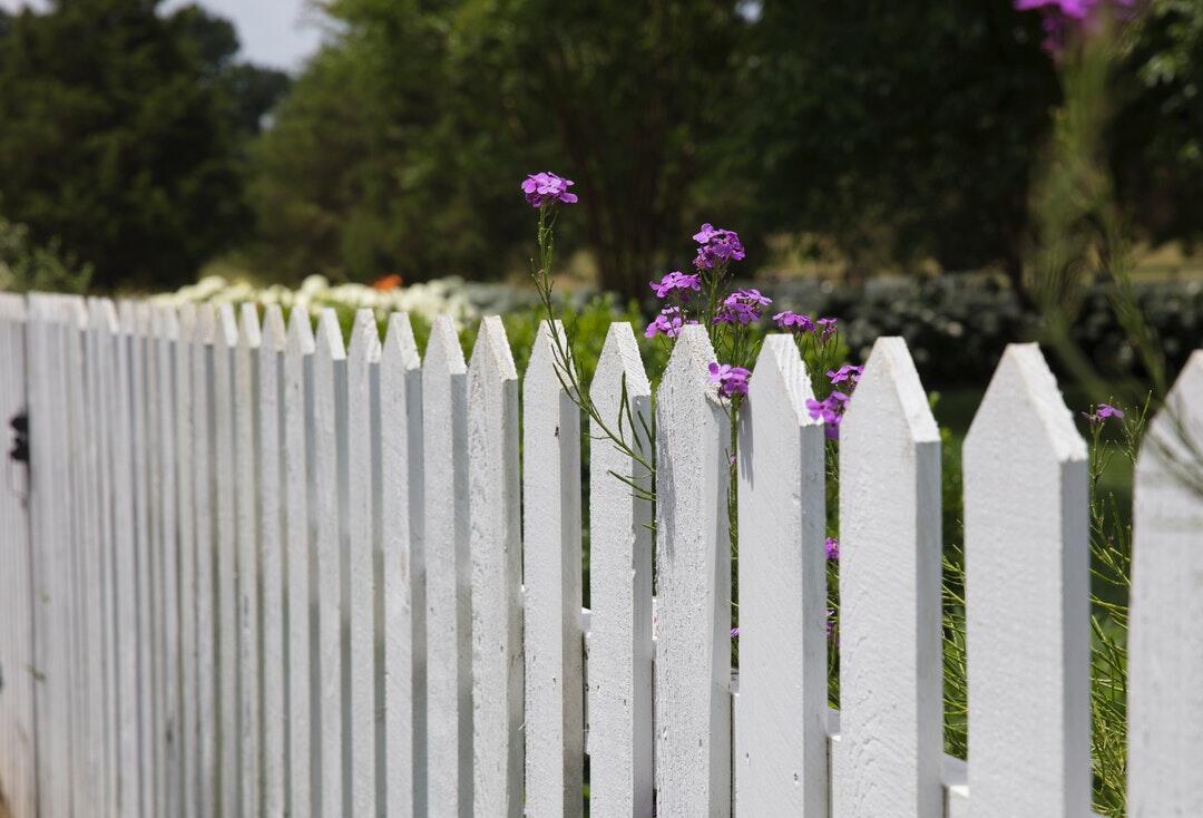 Vinyl Fence