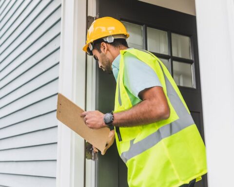 Mold Inspector