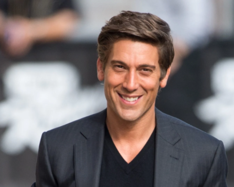 is david muir gay