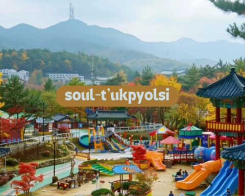 soul-t'ukpyolsi